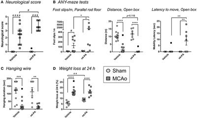 t-PA Suppresses the Immune Response and Aggravates Neurological Deficit in a Murine Model of Ischemic Stroke